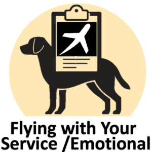 Flying with Service Animal Emotional Support Animal Therapy Dog Airline Policy Pet