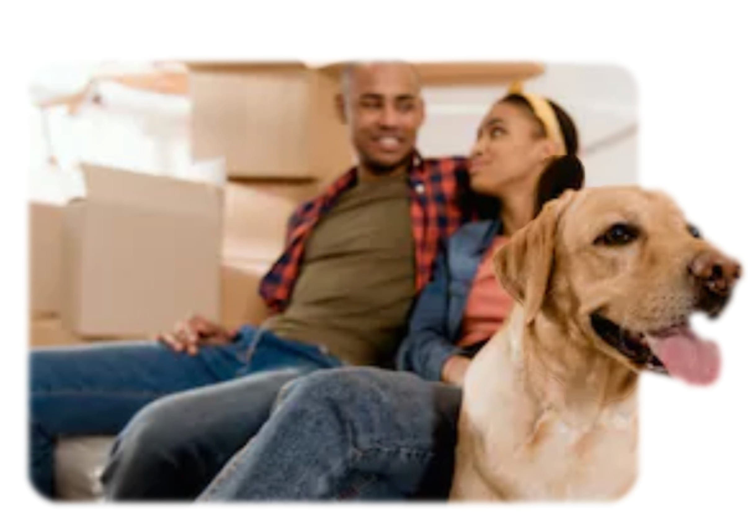 Infographic highlighting the key legal protections and benefits of Emotional Support Animal (ESA) and service dog documentation, including housing and travel.