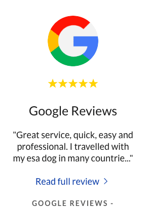 Google Reviews