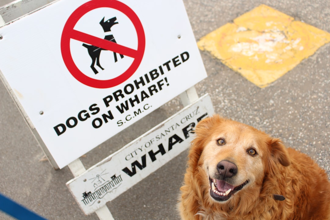 therapy dog temperament test — dog sitting next to dogs prohibited on wharf signage