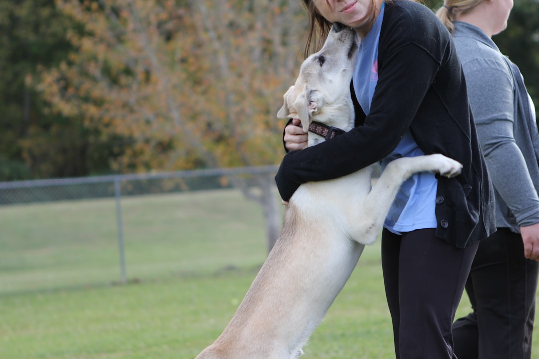 compassion fatigue — a woman holding a large white dog in her arms