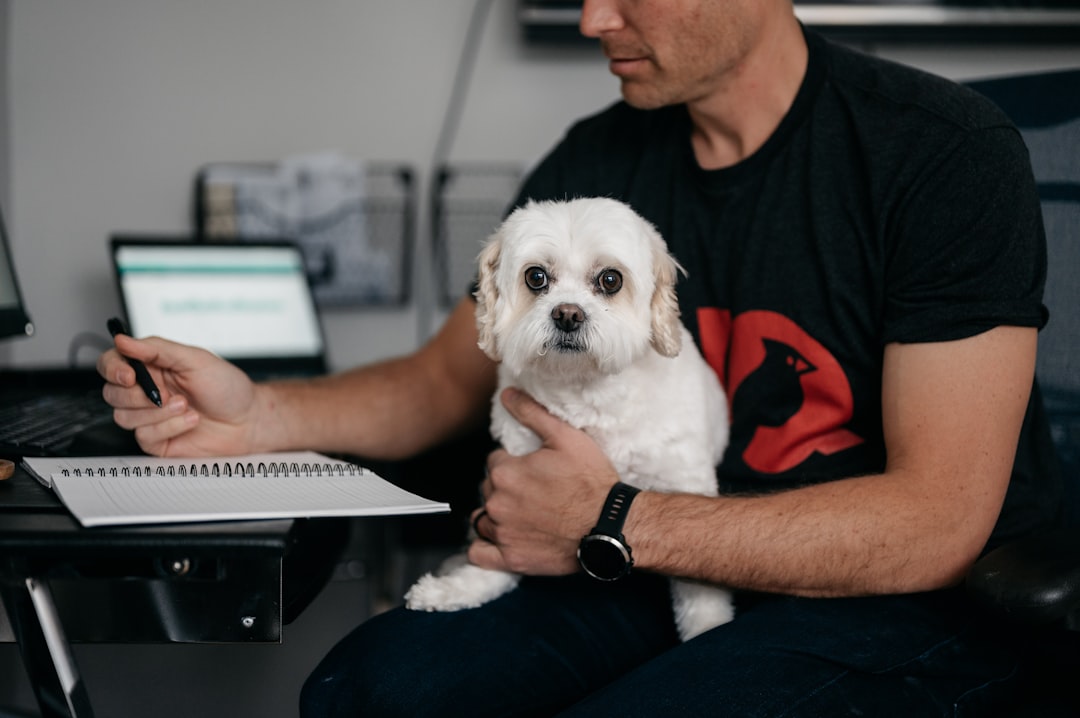 puppy therapy dog — a man holding a dog