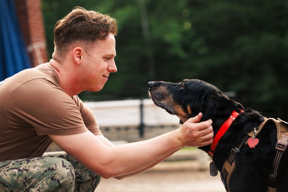airport therapy dog — Airport Therapy Dog Programs: How Handlers Get Involved