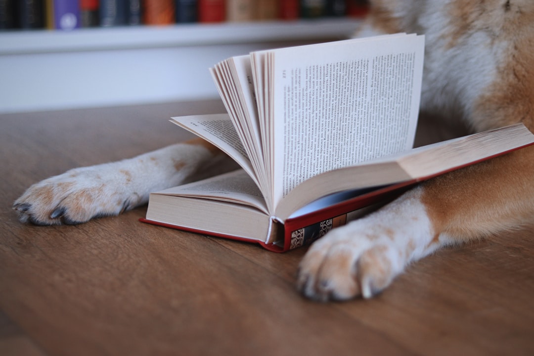 corporate therapy dog — Dog paws resting on an open book