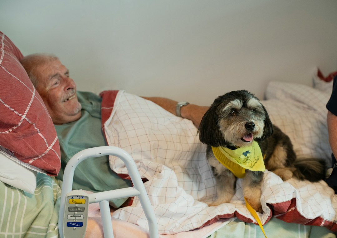 crisis therapy dog — Elderly man and dog in bed