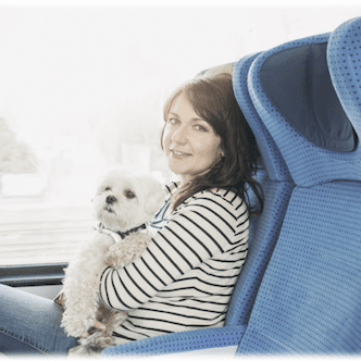 Therapy Dog or Emotional Support Dog on Bus Airplane Fly Travel Free